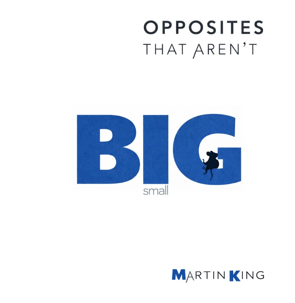 BIG & small front cover